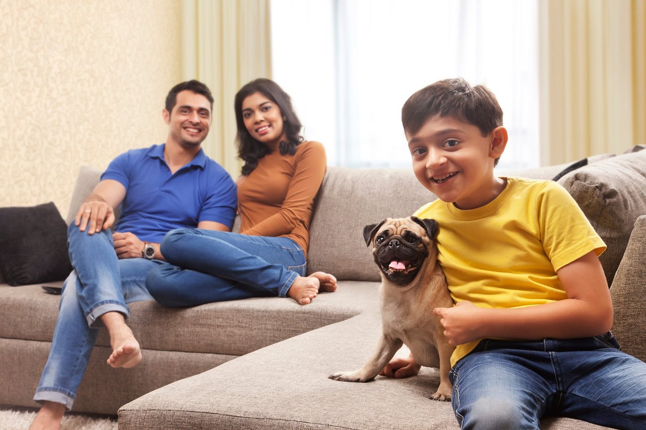 Best Sofas for Families, Pets, and Everyday Living